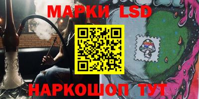 шишки Обь