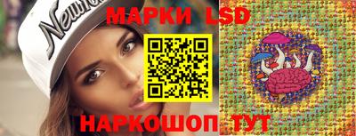 шишки Обь