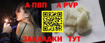 шишки Обь