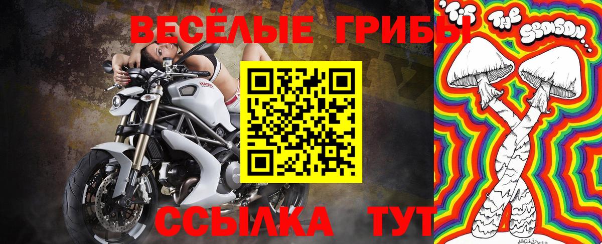 Белогорск  Галлюциногенные грибы Psilocybe  Вход с VPN 