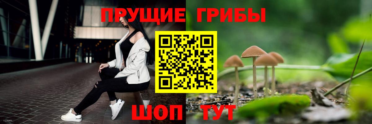 Галлюциногенные грибы мицелий Белогорск